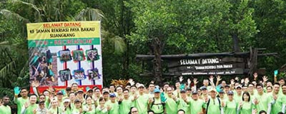 Mangrove-featuredimg